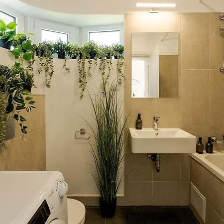 Downtown W Parkview&balcony Vol 1